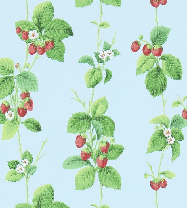 Summer Strawberries Wallpaper - Strawberry/Sky - DVIN214591 - Sanderson - Morris Wallpaper