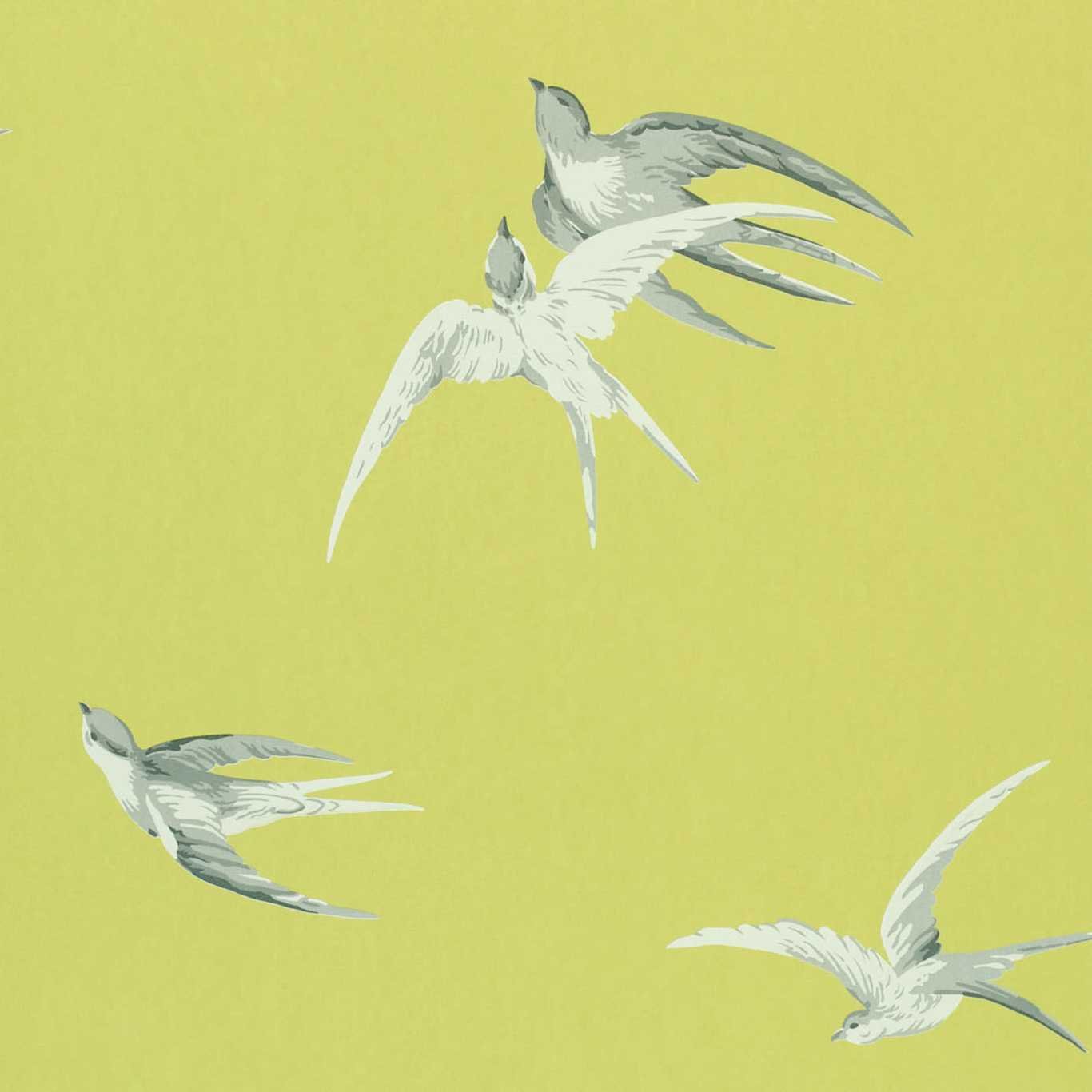 Swallows Wallpaper - Lime - DVIWSW101 - Sanderson - One Sixty - Morris Wallpaper