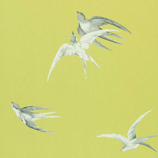 Swallows Wallpaper - Lime - DVIWSW101 - Sanderson