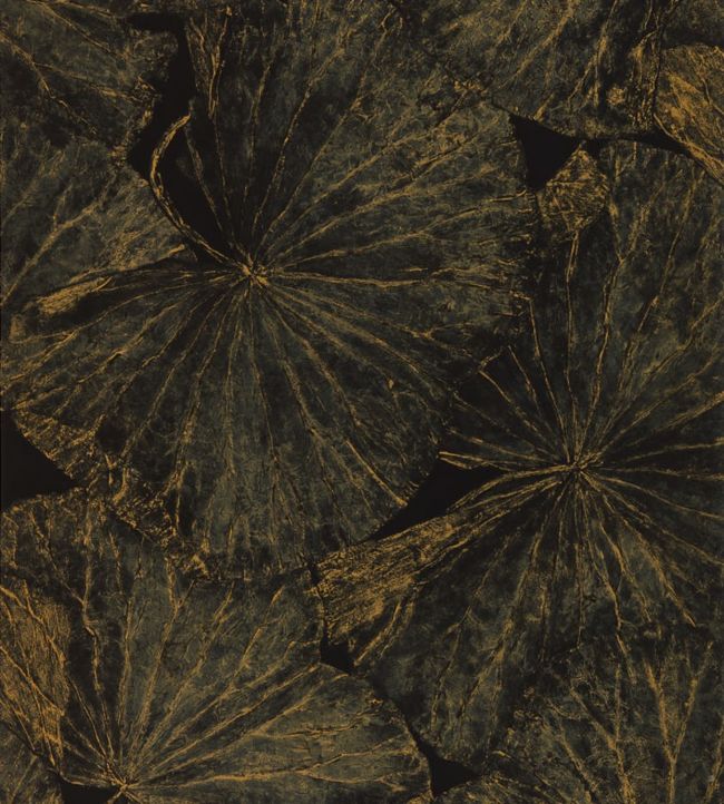 Taisho Deco Wallpaper - Vine Black - ZTOT312750 - Zoffany - Morris Wallpaper