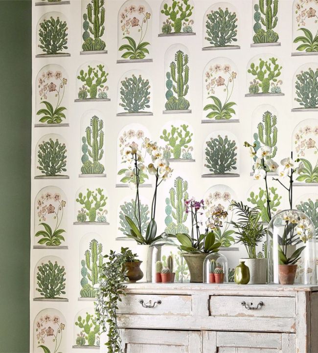 Terrariums Wallpaper - Botanical Green/Multi - DGLW216656 - Sanderson - Morris Wallpaper