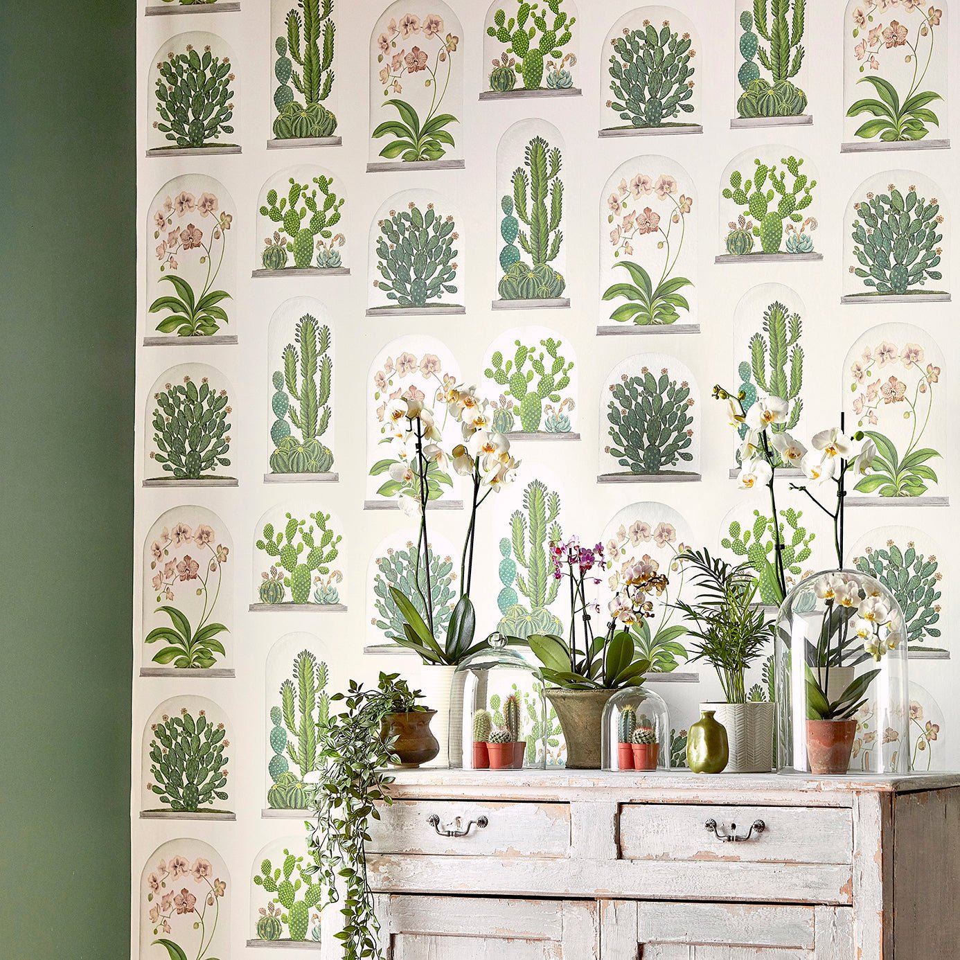 Terrariums Wallpaper - Botanical Green/Multi - Sanderson - DGLW216656 - Morris Wallpaper