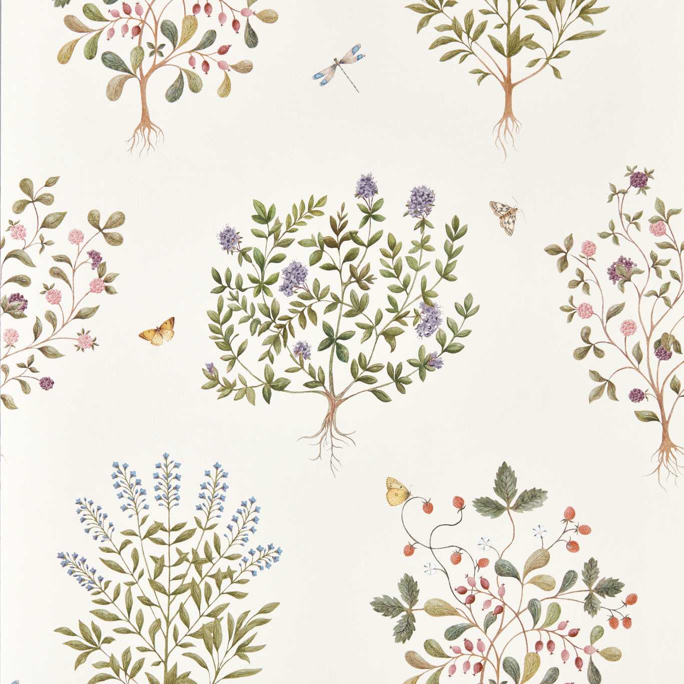 Thyme Walk Wallpaper - Damson/Quince - Sanderson - DHIP217509 - Morris Wallpaper