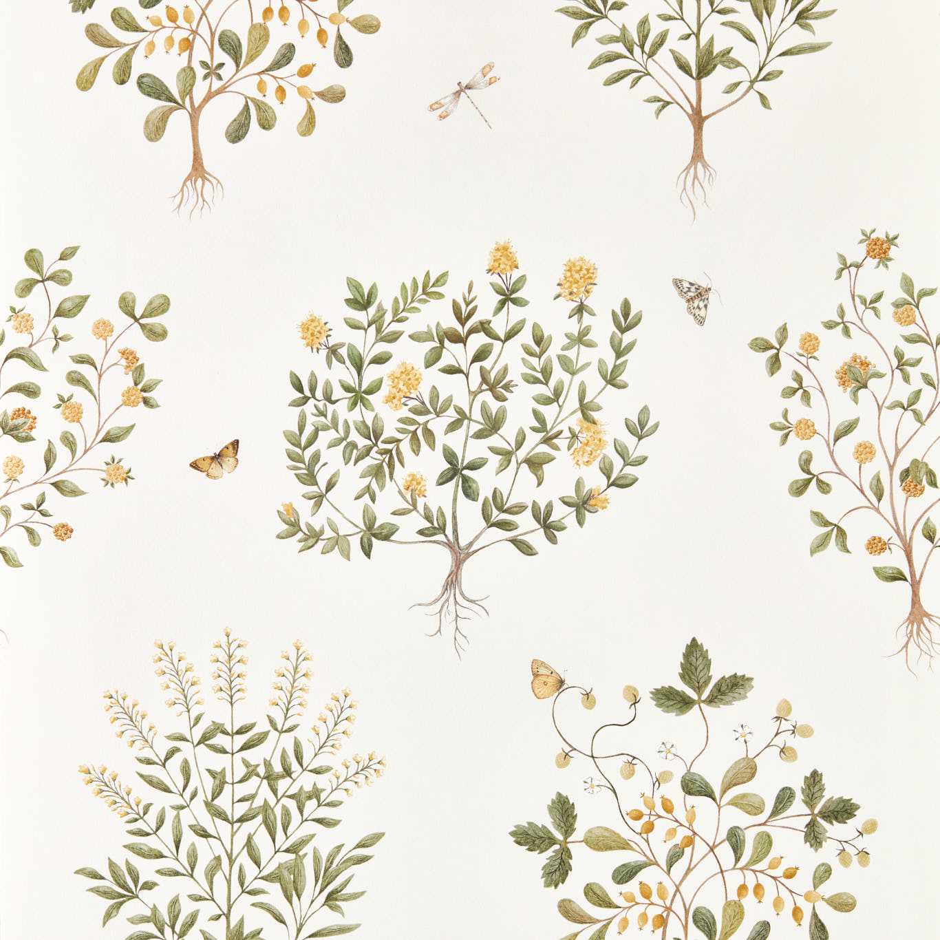 Thyme Walk Wallpaper - Lichen/Gooseberry - Sanderson - DHIP217508 - Morris Wallpaper