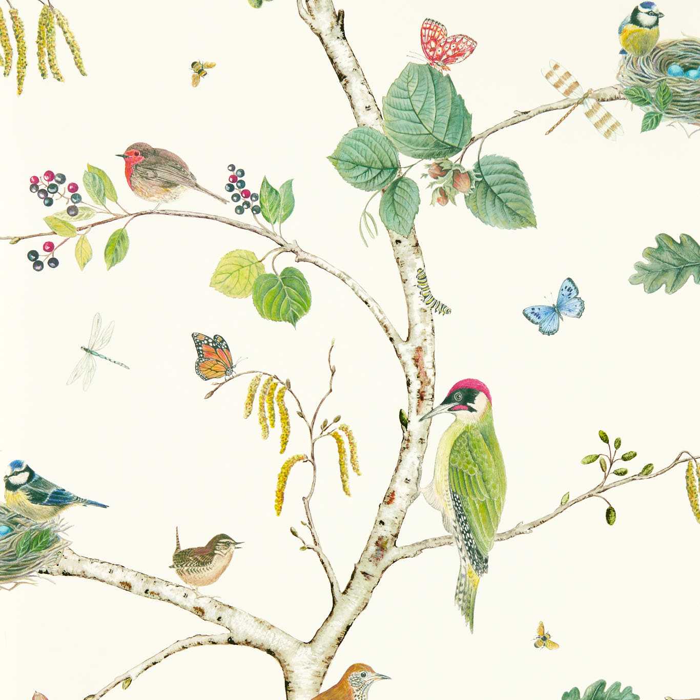 Woodland Chorus Wallpaper - Botanical/Multi - DABW217230 - Sanderson - Morris Wallpaper