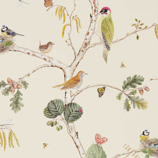 Woodland Chorus Wallpaper - Cream/Multi - DWOW215703 - Sanderson - Morris Wallpaper