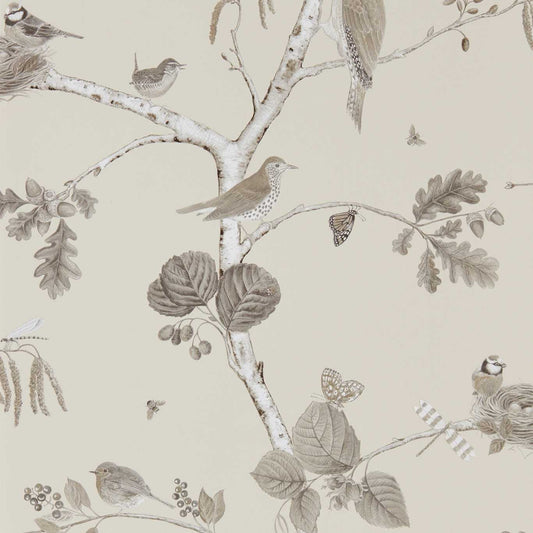 Woodland Chorus Wallpaper - Sepia/Neutral - DWOW215704