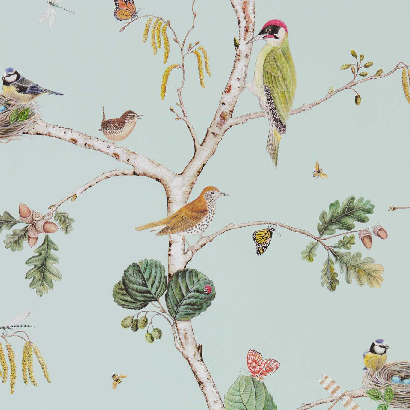 Woodland Chorus Wallpaper - Sky Blue/Multi - DWOW215706 - Sanderson - Morris Wallpaper