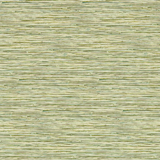 Xan Wallpaper - Palm - Clarke & Clarke - W0192/04 - Morris Wallpaper