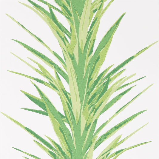 Yucca Wallpaper - Botanical Green - DGLW216649